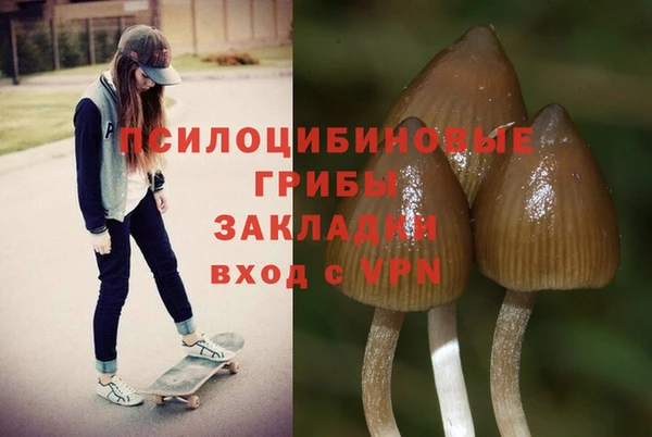 герыч Арсеньев