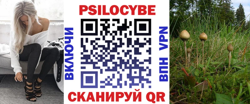 Галлюциногенные грибы Psilocybe  Сорск 